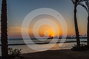 Sunrise on a peninsula of Hurghada across a row of palm trees