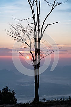 Sunrise at Pha Nok Aen, Phu Kradueng