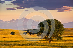 Sunrise On The Plains