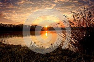 Sunrise on the pond with birds