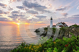 Sunrise at Portland Head Lighthouse with flowers in the foreground