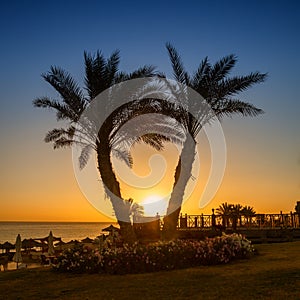 Sunrise on the Red sea, Marsa Alam, Egypt photo