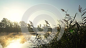 Sunrise on the riverbank. Landscape with closeup reeds on the right first plan and smoke on the water surfce