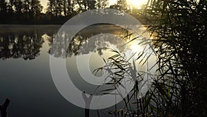 Sunrise on the riverbank. Landscape with closeup reeds on the right first plan and smoke on the water surfce