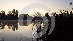 Sunrise on the riverbank. Landscape with reeds on first plan and smoke on the water