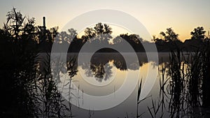 Sunrise on the riverbank. Landscape with silhouettes of reeds and river surface with smoke on the water