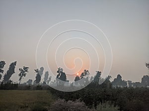 sunrise with road and trees in rural areas of Pakistan