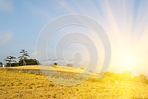 Sunrise rural scenery