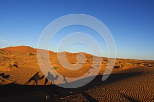 Sunrise in the Sahara Desert Marocco