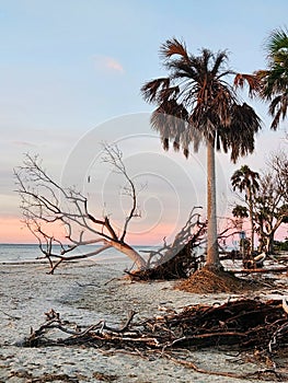 Sunrise on Sanibel Island in Florida