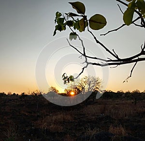 Sunrise savana Kupang NTT morning