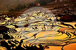 The Sunrise scenery of Yuenyang Hani Terrace in Yunnan , China