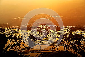 The Sunrise scenery of Yuenyang Hani Terrace in Yunnan , China