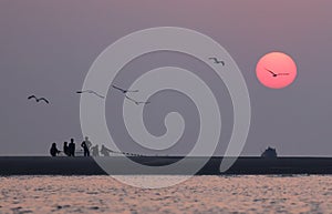 Sunrise on seashore with flying birds