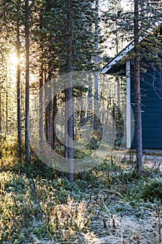 Sunrise seen in the frorest behind wooden house, Finland photo