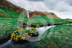 Sunrise on Seljalandfoss waterfall