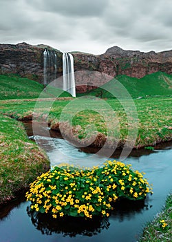 Sunrise on Seljalandfoss waterfall