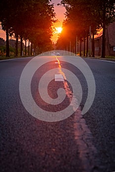 Sunrise Serenade: Open Road in European Countryside