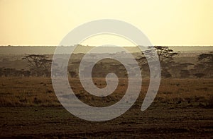 Sunrise Serengeti,Tanzania