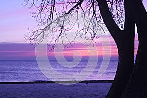 Sunrise in shades of pink and lavender, Pratt Beach, Chicago photo