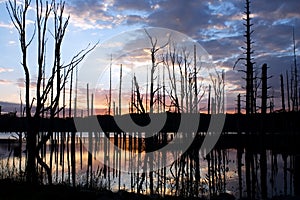 Sunrise at Shaggers Inn Dam