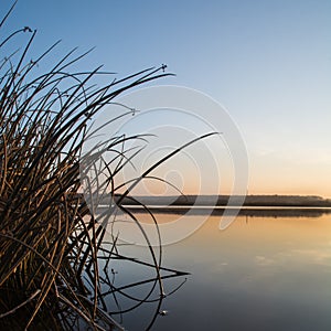 Sunrise on a shore