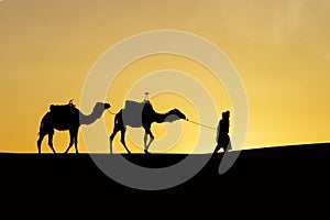 Sunrise silhouette of camels and handler, Merzouga