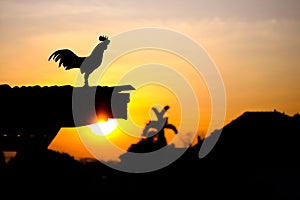 Sunrise silhouette rooster crowing on roof home on sky background in the morning background