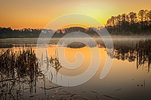 A sunrise on a small lake with fog and golden warm light.