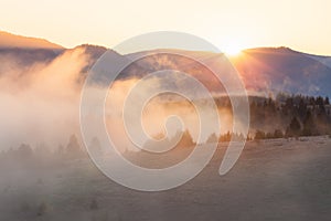 Sunrise at Smoky Mountains. Great Smoky Mountains National Park