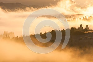 Sunrise at Smoky Mountains. Great Smoky Mountains National Park