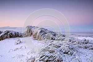 sunrise on snowy dutch beach