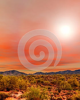 Sunrise Sonora Desert