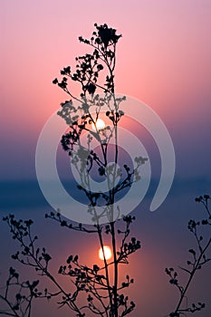 Sunrise on standing water peaceful