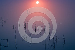 Sunrise on standing water peaceful