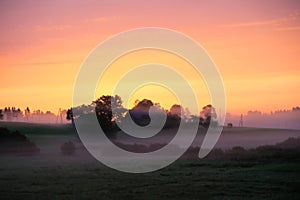 Sunrise on a summer morning in the countryside, morning fog, idyllic view. Leisure in the countryside.