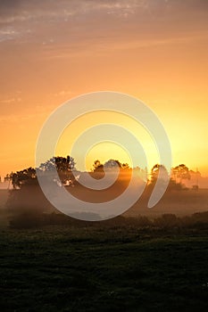 Sunrise on a summer morning in the countryside, morning fog, idyllic view. Leisure in the countryside.