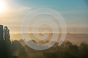 The sunrise in the summer on the outskirts of the city. Trees in the fog. On the horizon, power lines are visible