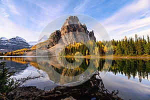 Sunrise on Sunburst Lake with Mount Assiniboine in autumn forest at provincial park