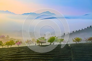 Sunrise photo