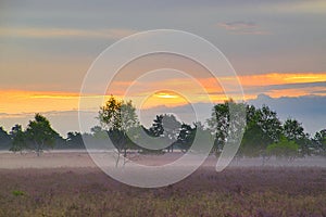 Sunrise Sunset in the LÃ¼neburg Heath