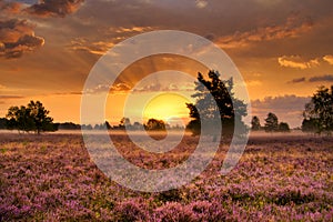 Sunrise Sunset in the LÃ¼neburg Heath