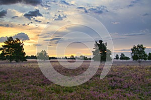 Sunrise Sunset in the LÃ¼neburg Heath