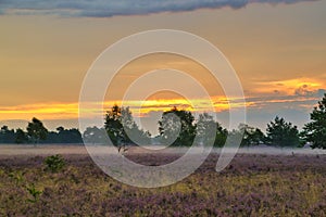 Sunrise Sunset in the LÃ¼neburg Heath