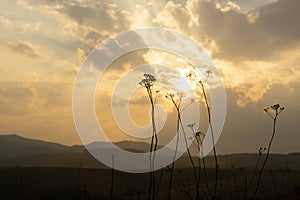 Sunrise or sunset over the hills and meadow.