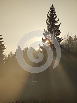 Sunrise or sunset over the hills and meadow.