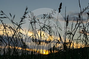 Sunrise or sunset over the hills and meadow.