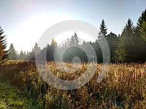 Sunrise or sunset over the hills and meadow.