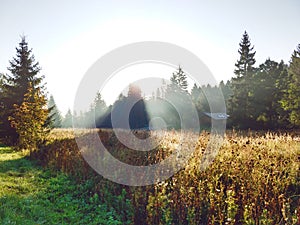 Sunrise or sunset over the hills and meadow.