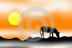 Sunrise sunset zebra